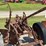 3-bottom-trip-plow-image-11