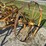 horse-drawn-cultivator-image-4