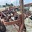 four-bottom-plow-image-10