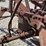 3-bottom-trip-plow-image-28