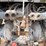 kubota-m9580-image-11