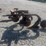 2-bottom-fast-hitch-plow-image-3