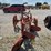 2-bottom-trip-plow-image-4