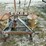 ford-12-88-planter-image-4