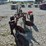 2-bottom-trip-plow-image-4