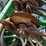 john-deere-1895-image-12