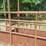 #65-•-livestock-alley-way-image-2