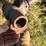 woods-bb72-image-7