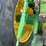 1993-john-deere-4960-image-7