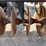 case-ih-rmx790-image-14
