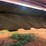 new-holland-1431-image-8