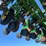 2020-john-deere-dr24-image-16