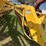 new-holland-216-image-16