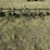 john-deere-rg40-image-3
