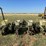 john-deere-7100-image-5