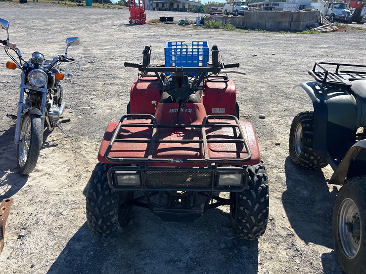 arctic-cat-300-image-2