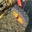 new-holland-258-image-5
