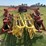 new-holland-216-image-4