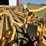 vermeer-r23a-image-13