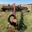 new-holland-1475-image-14