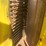 john-deere-9986-image-15