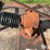 bush-hog-6-image-14