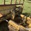 1990-caterpillar-d4h-image-10