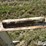 case-ih-2388-image-14