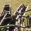 john-deere-8-image-10