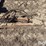 john-deere-t0330-image-12