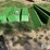 john-deere-s660-image-8