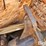 new-holland-200-image-12