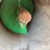 john-deere-6-image-9