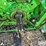 1967-john-deere-3020-image-11