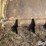 john-deere-77-image-15