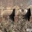 john-deere-77-image-14