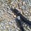 #l39-007-•-wolverine-hydraulic-clamp-excavator-attachment-(8t)-image-6
