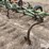john-deere-20-image-19