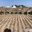 john-deere-30-image-2