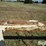 case-ih-2388-image-16