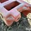 case-ih-86-image-12