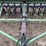 john-deere-8300-image-13