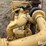 caterpillar-3306-image-17