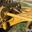 caterpillar-12-image-13