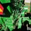 1957-john-deere-720-image-18