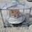 #l39-015-•-landhonor-walk-behind-power-trowel-image-2