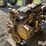 caterpillar-c12-image-1