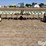 orthman-603-256-image-2