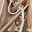 new-holland-2000-image-11