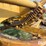 caterpillar-12-image-20
